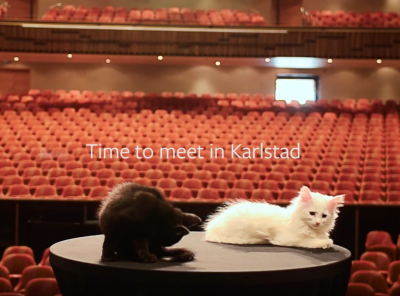 Katter på Karlstad CCC